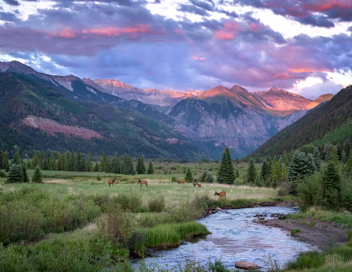 A sweeping view of a mountain range with a stream running through the valley and elk grazing along the banks. Clouds drift above, and the entire scene speaks to wildlife watching, hiking, and connecting with pristine nature in a serene, majestic atmosphere.